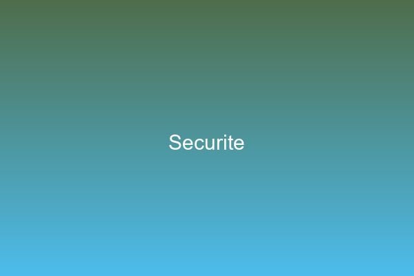 SystÃ¨me surveillance